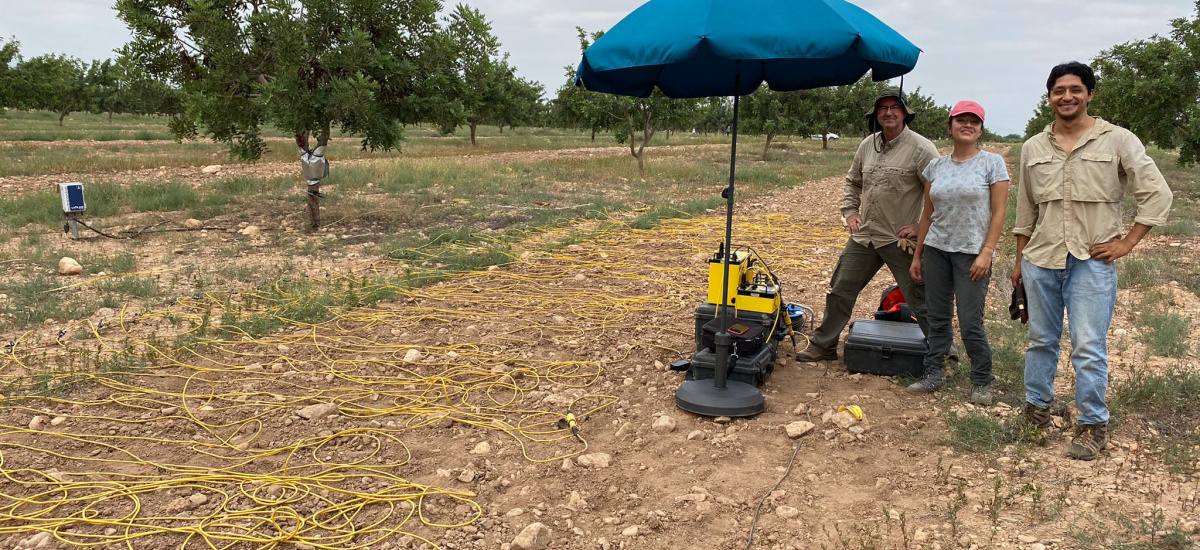 Últimas mediciones en garroferos de una finca de Fuente Álamo para determinar la humedad del subsuelo